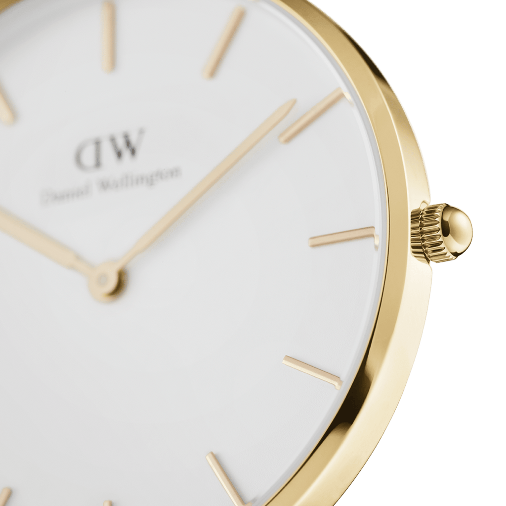 Daniel Wellington Petite 36 Evergold Gold & White Watch Watch Daniel Wellington   